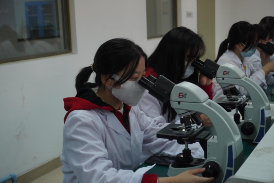 图片3.png 图片3.png