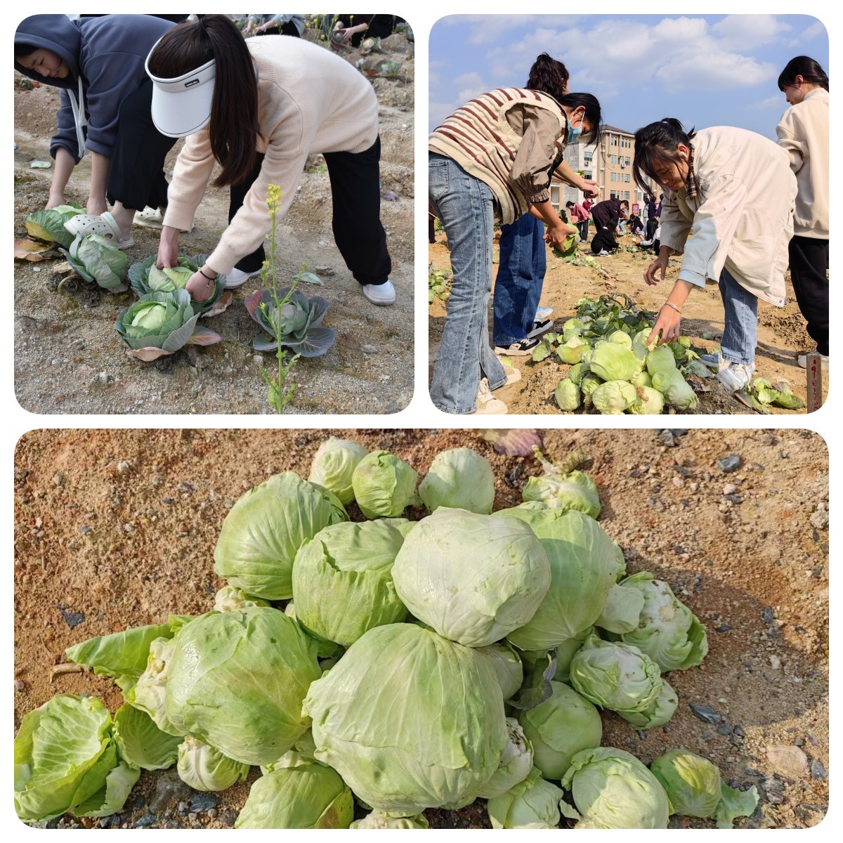 拼图1.jpg 拼图1.jpg