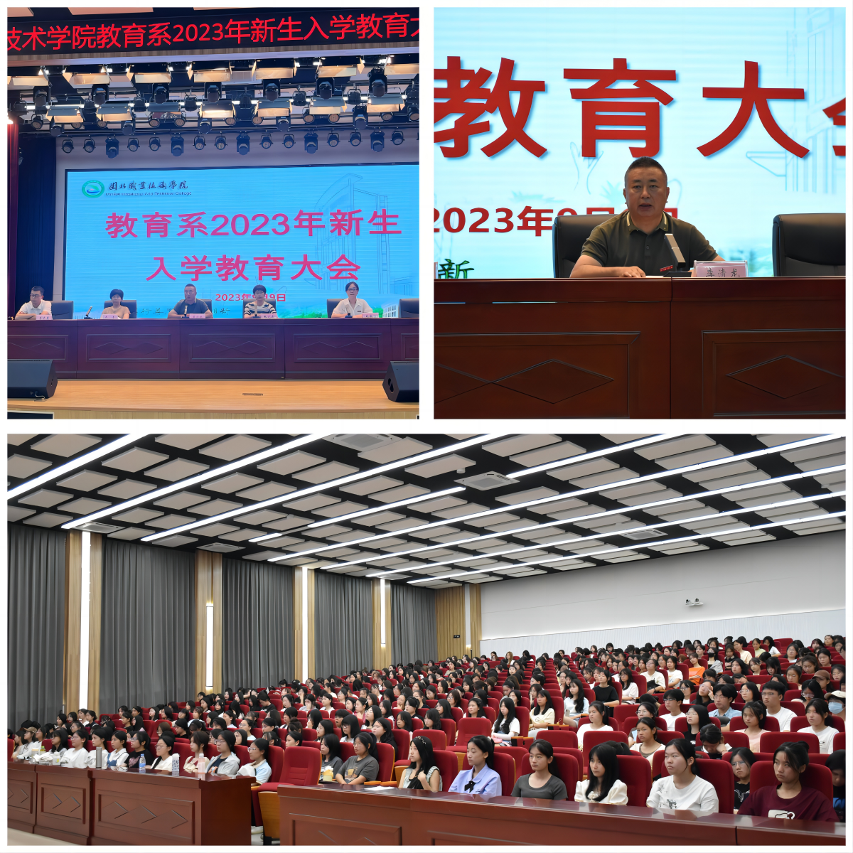 全景.png 全景.png