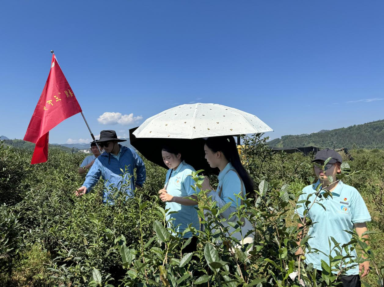 图片 10.png 图片 10.png