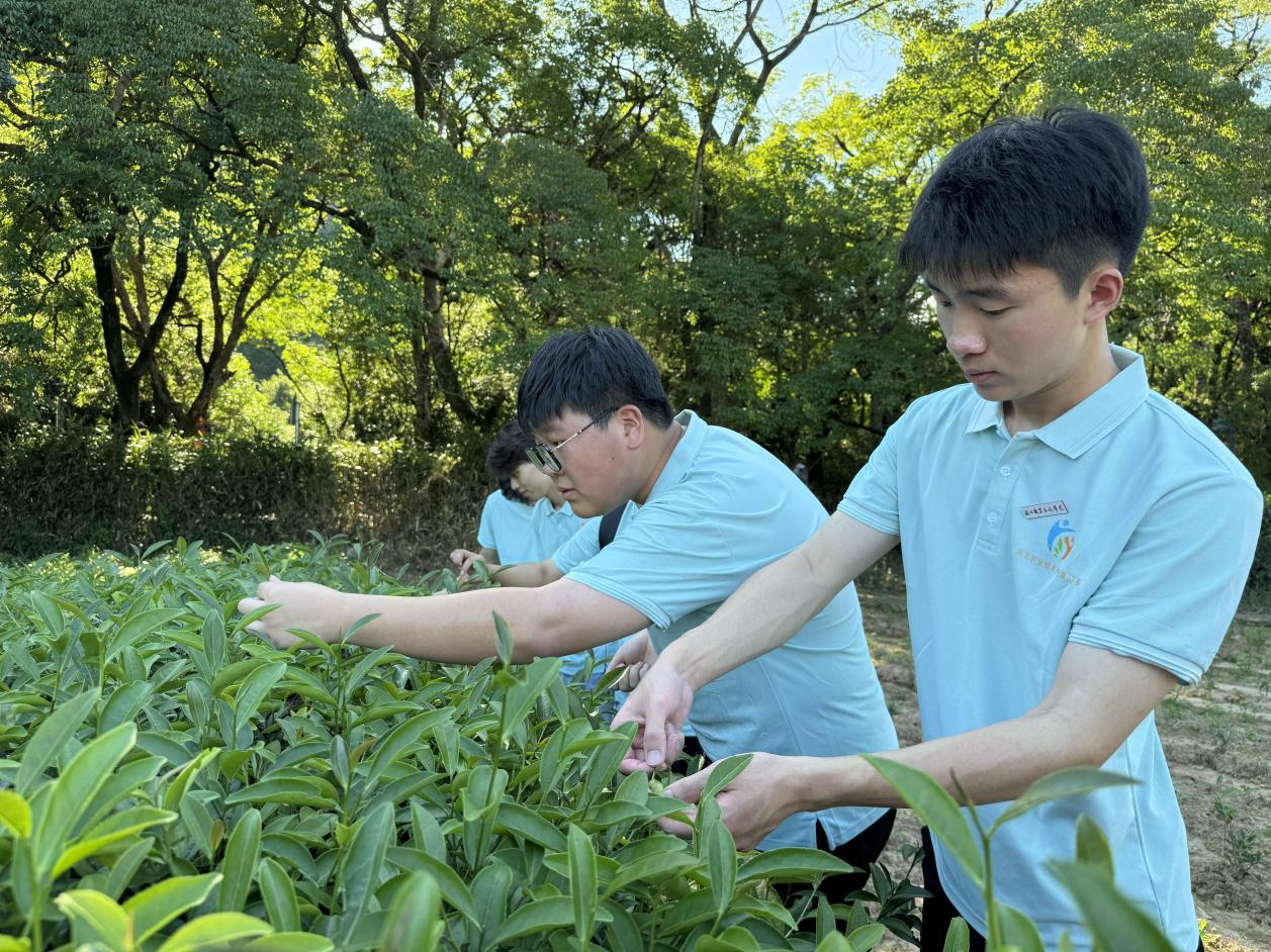 图片 11.png 图片 11.png