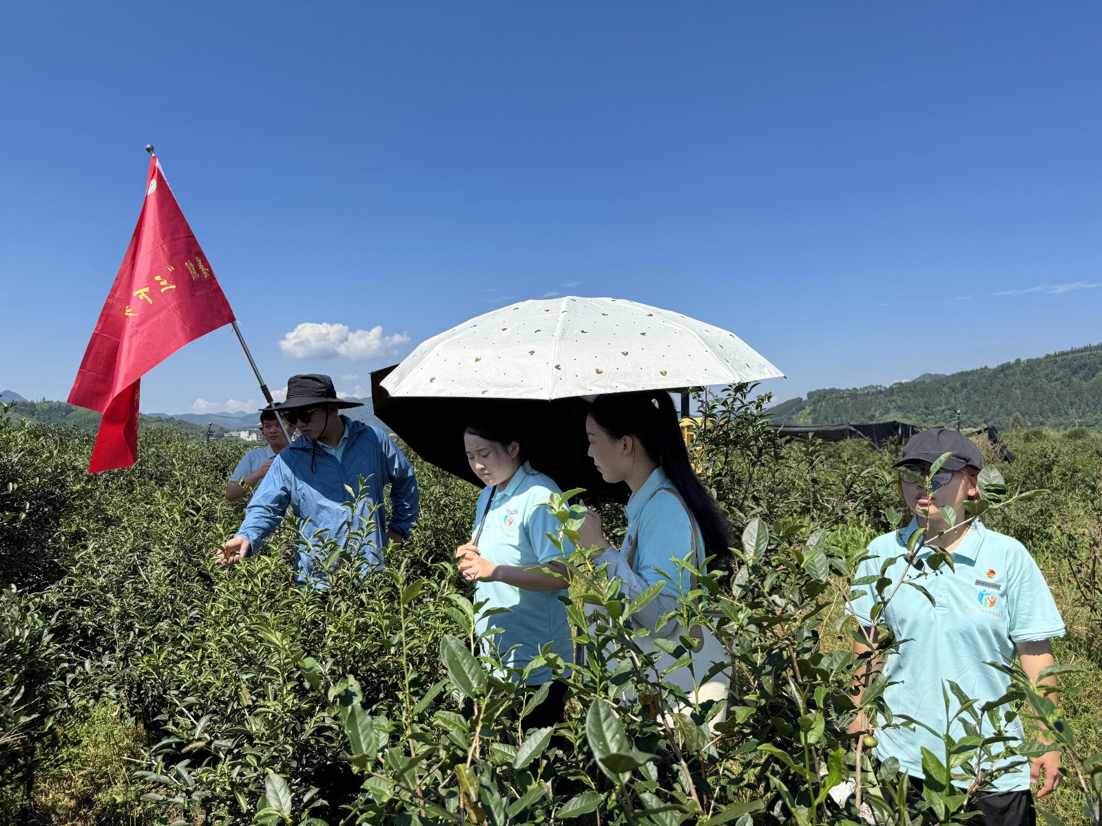 2024_07_05_09_55_IMG_4889.JPG 2024_07_05_09_55_IMG_4889.JPG