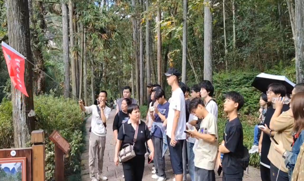 图片3.png 图片3.png