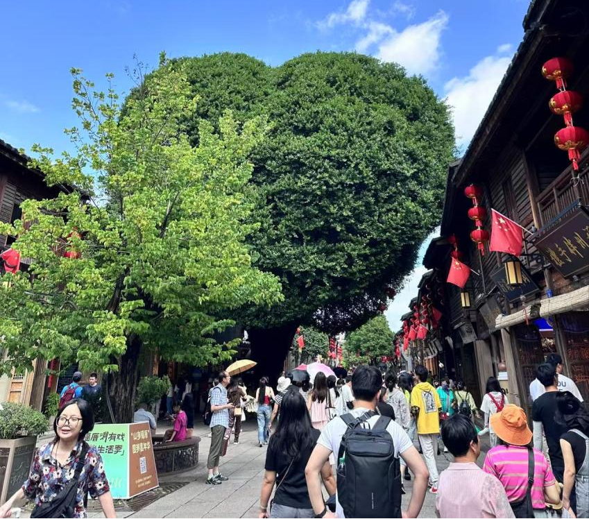 图片22.png 图片22.png