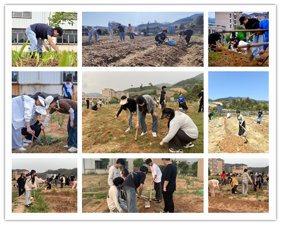 未命名 (1).png 未命名 (1).png