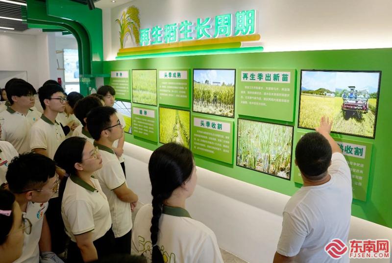 31936895_c53177c2-436e-4fe2-9049-2764bf26aa03_watermark.jpg 31936895_c53177c2-436e-4fe2-9049-2764bf26aa03_watermark.jpg